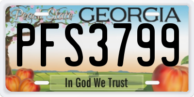 GA license plate PFS3799