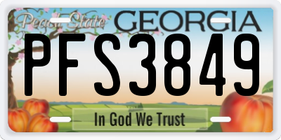 GA license plate PFS3849