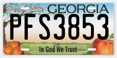 GA license plate PFS3853