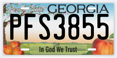 GA license plate PFS3855