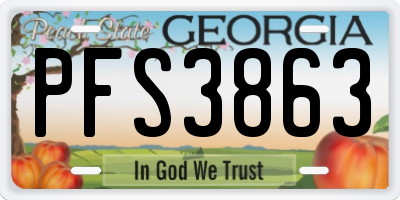 GA license plate PFS3863
