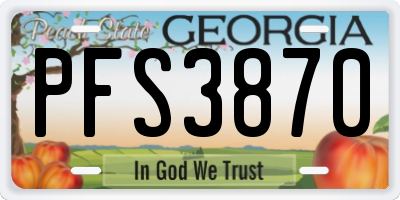 GA license plate PFS3870