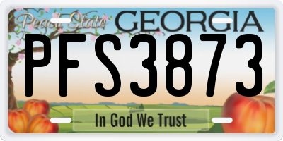 GA license plate PFS3873