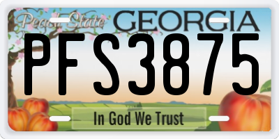 GA license plate PFS3875