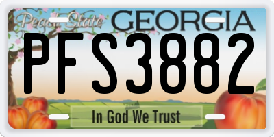 GA license plate PFS3882