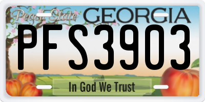 GA license plate PFS3903