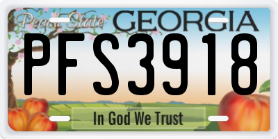 GA license plate PFS3918