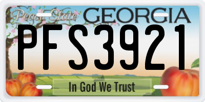 GA license plate PFS3921