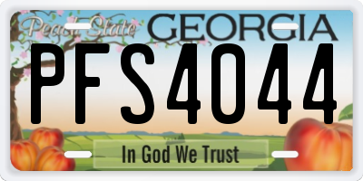 GA license plate PFS4044