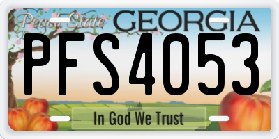 GA license plate PFS4053