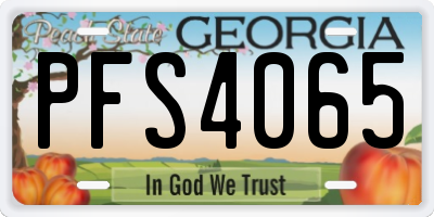 GA license plate PFS4065