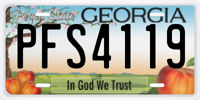 GA license plate PFS4119