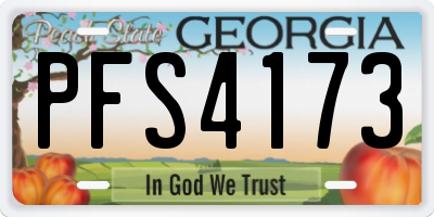 GA license plate PFS4173