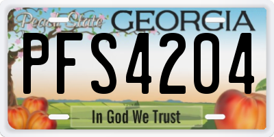 GA license plate PFS4204
