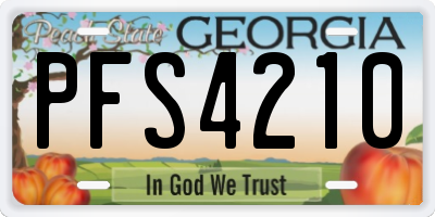 GA license plate PFS4210