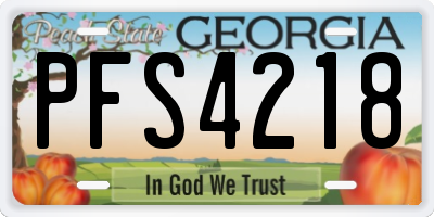 GA license plate PFS4218