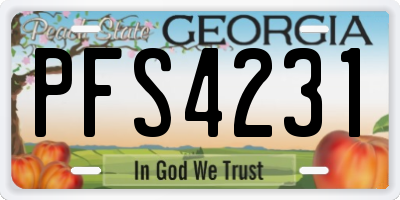 GA license plate PFS4231