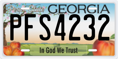 GA license plate PFS4232