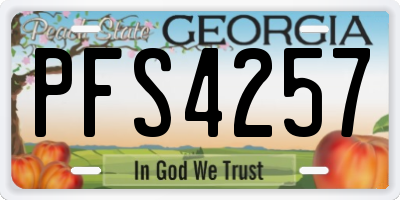 GA license plate PFS4257