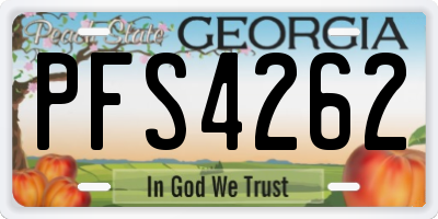 GA license plate PFS4262