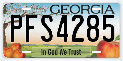 GA license plate PFS4285