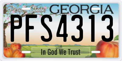 GA license plate PFS4313