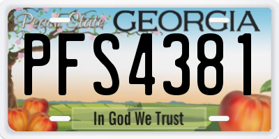 GA license plate PFS4381