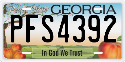 GA license plate PFS4392