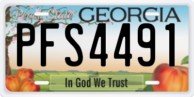 GA license plate PFS4491
