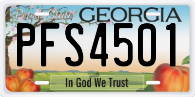 GA license plate PFS4501
