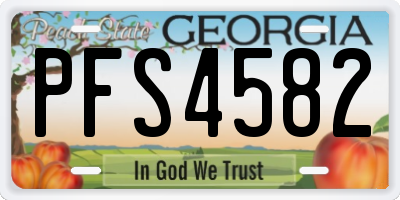 GA license plate PFS4582