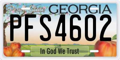 GA license plate PFS4602