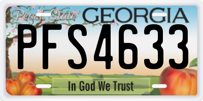 GA license plate PFS4633
