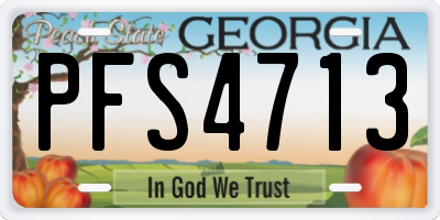 GA license plate PFS4713