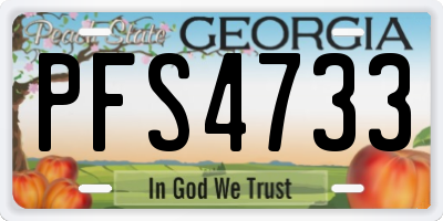 GA license plate PFS4733