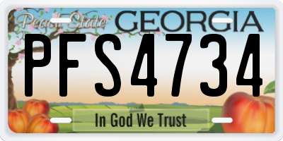 GA license plate PFS4734
