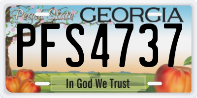 GA license plate PFS4737