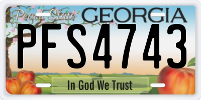 GA license plate PFS4743