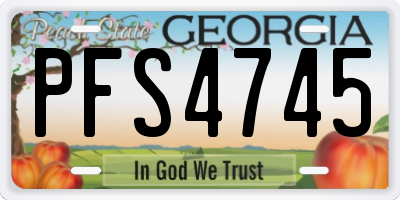 GA license plate PFS4745