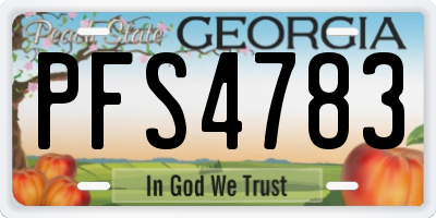 GA license plate PFS4783