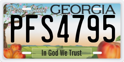 GA license plate PFS4795