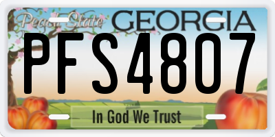 GA license plate PFS4807