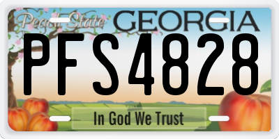 GA license plate PFS4828