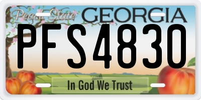 GA license plate PFS4830