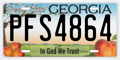 GA license plate PFS4864