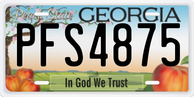 GA license plate PFS4875