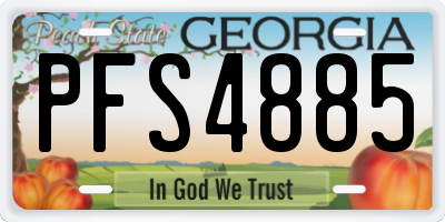 GA license plate PFS4885