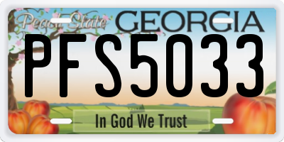 GA license plate PFS5033