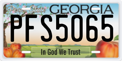 GA license plate PFS5065