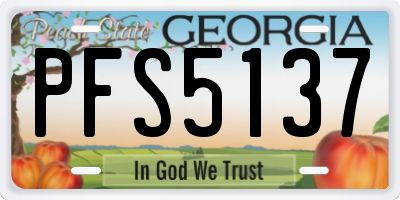 GA license plate PFS5137